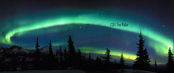 Tom Walker Photography