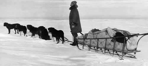Kantishna pioneer