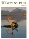 Portrait of Alaska's Wildlife